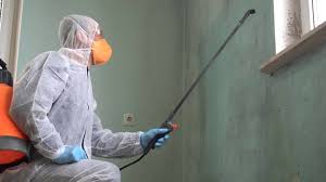 Professional Mold Prevention & Removal  in Milton, FL