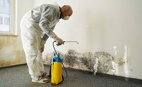 Mold Remediation for Rental Properties in Milton, FL